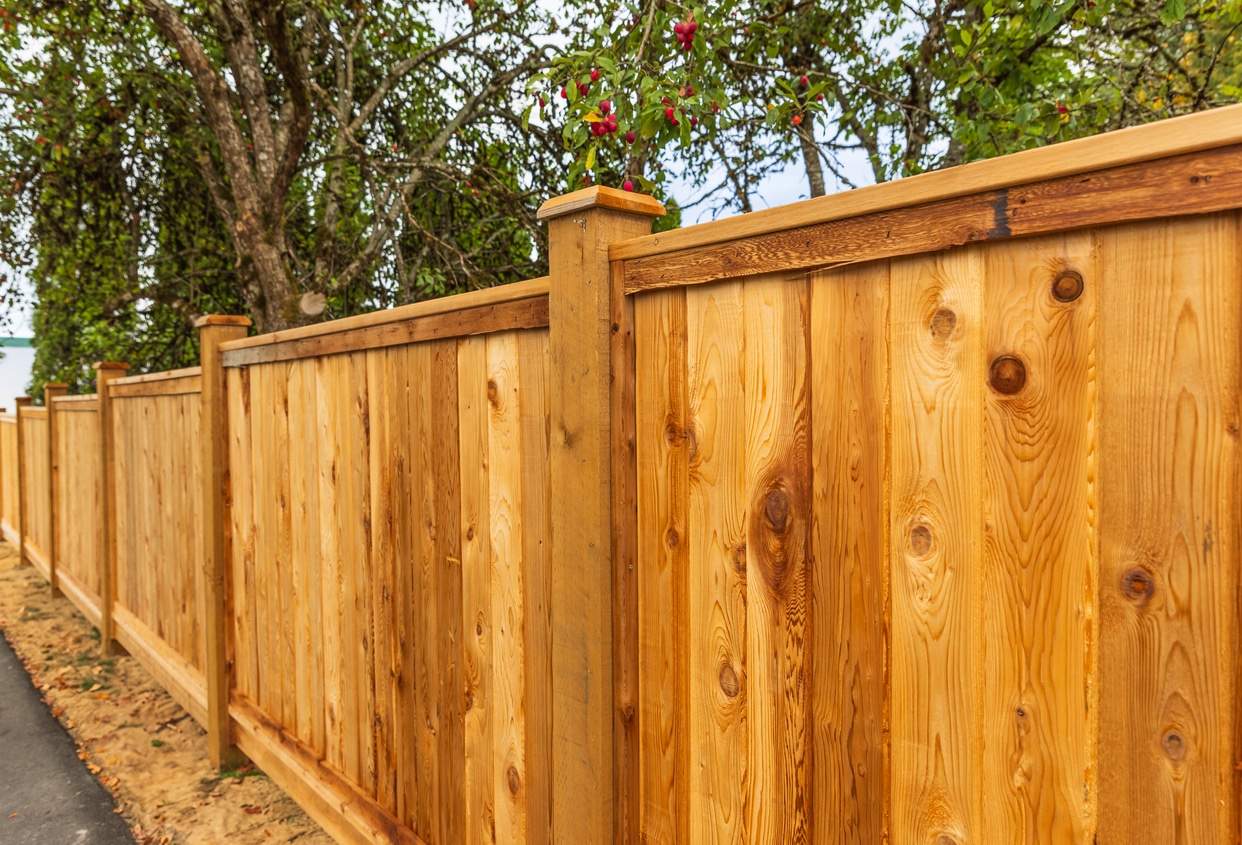 Fences
