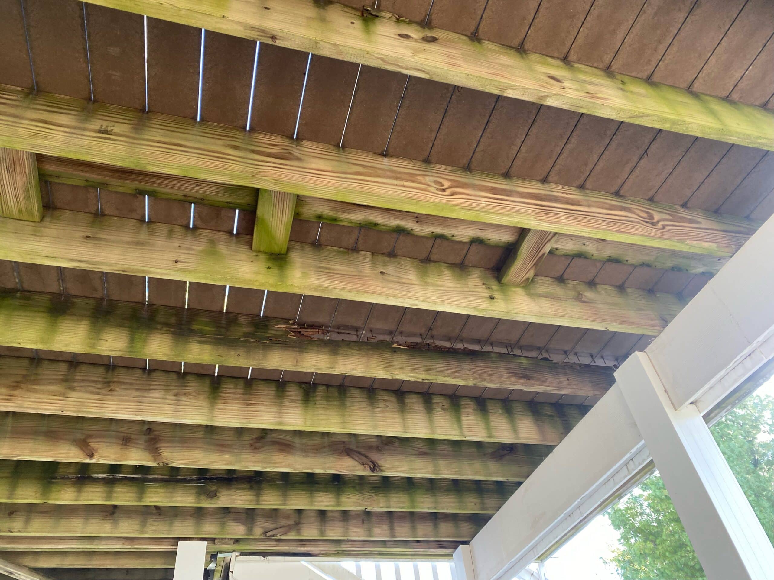 Weathered deck framing showing the moisture and wear that invites carpenter ants