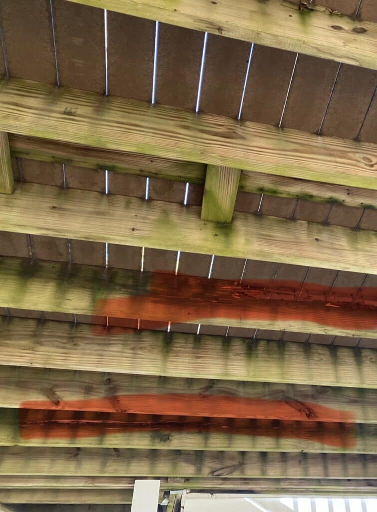 Underside of a deck showing white mold on the framing and the resulting rotted wood, both highlighted in red